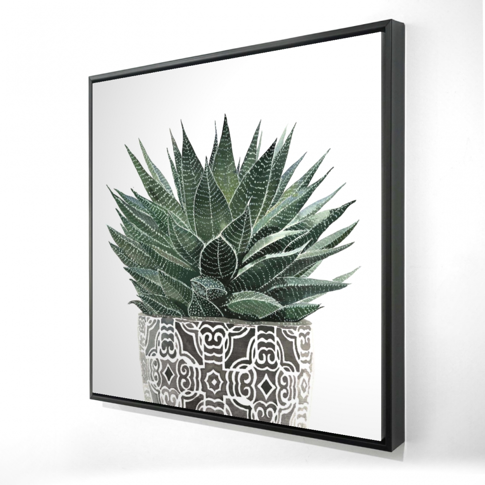 2081-3636-FL339 36 x 36 in. Zebra Plant Succulent - Framed Kitchen Botanical Canvas Decor