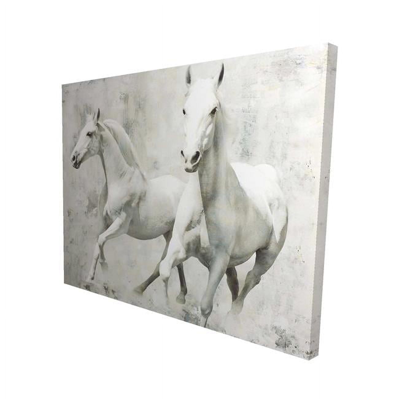 16 x 20 in. Two White Horse Running-Print on Canvas