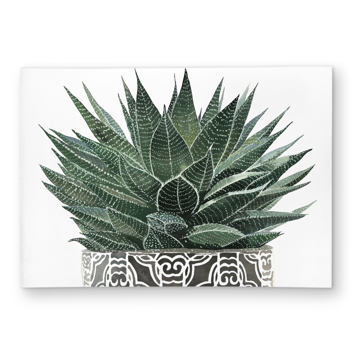 C1ROAR57FDQB43 5 x 7 ft. Zebra Plant Succulent - Kitchen Outdoor Rug - Rectangle