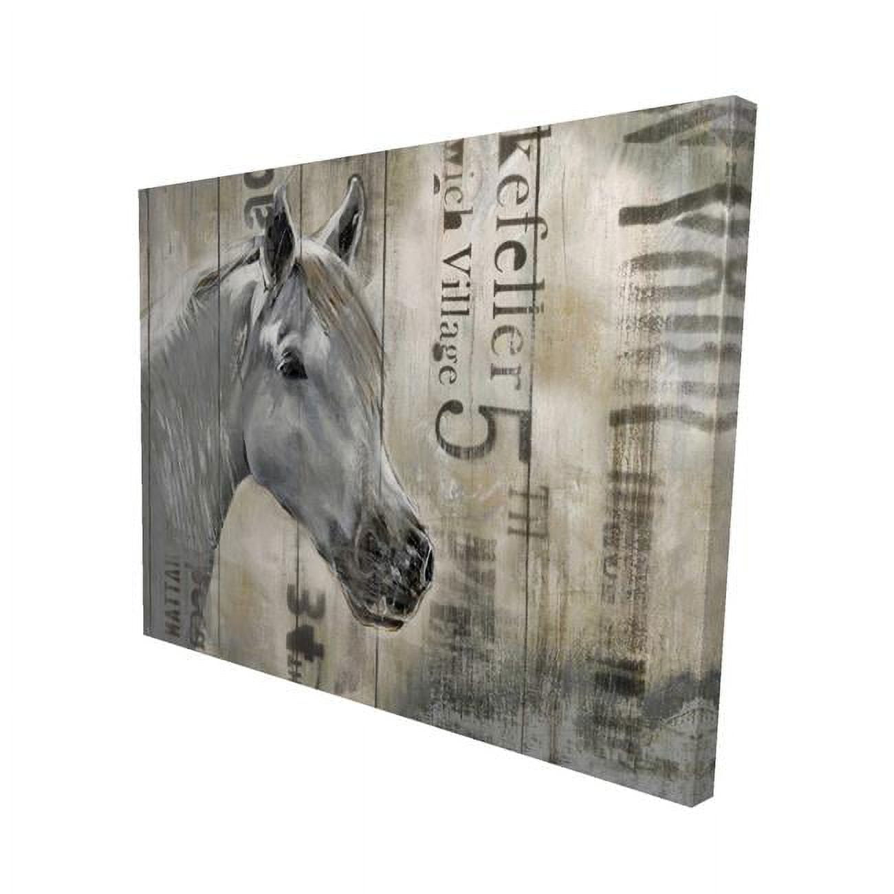 16 x 20 in. Rustic White Horse-Print on Canvas