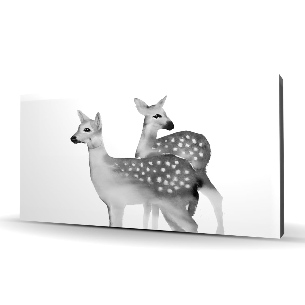 C1RC2448O12XXO 24 x 48 in. Faon Black & White Wildlife Rustic Canvas - Home Decor