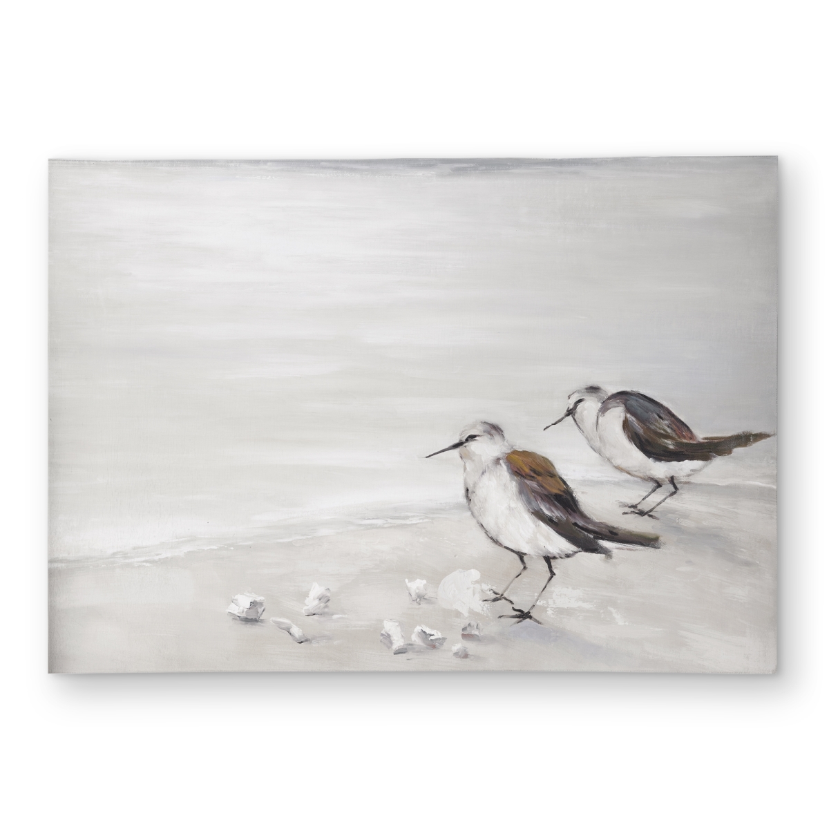 C1ROAR57BLI69I 5 x 7 ft. Two Sandpipers Birds Outdoor Area Rug - Marine Home Decor - Rectangle