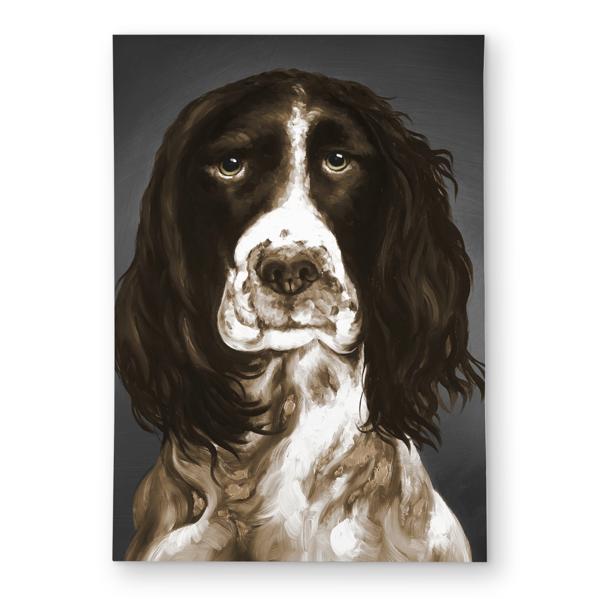 C1ROAR574OYOQU 5 x 7 ft. Brown English Springer Spaniel Outdoor Area Rug - Contemporary Pets - Rectangle