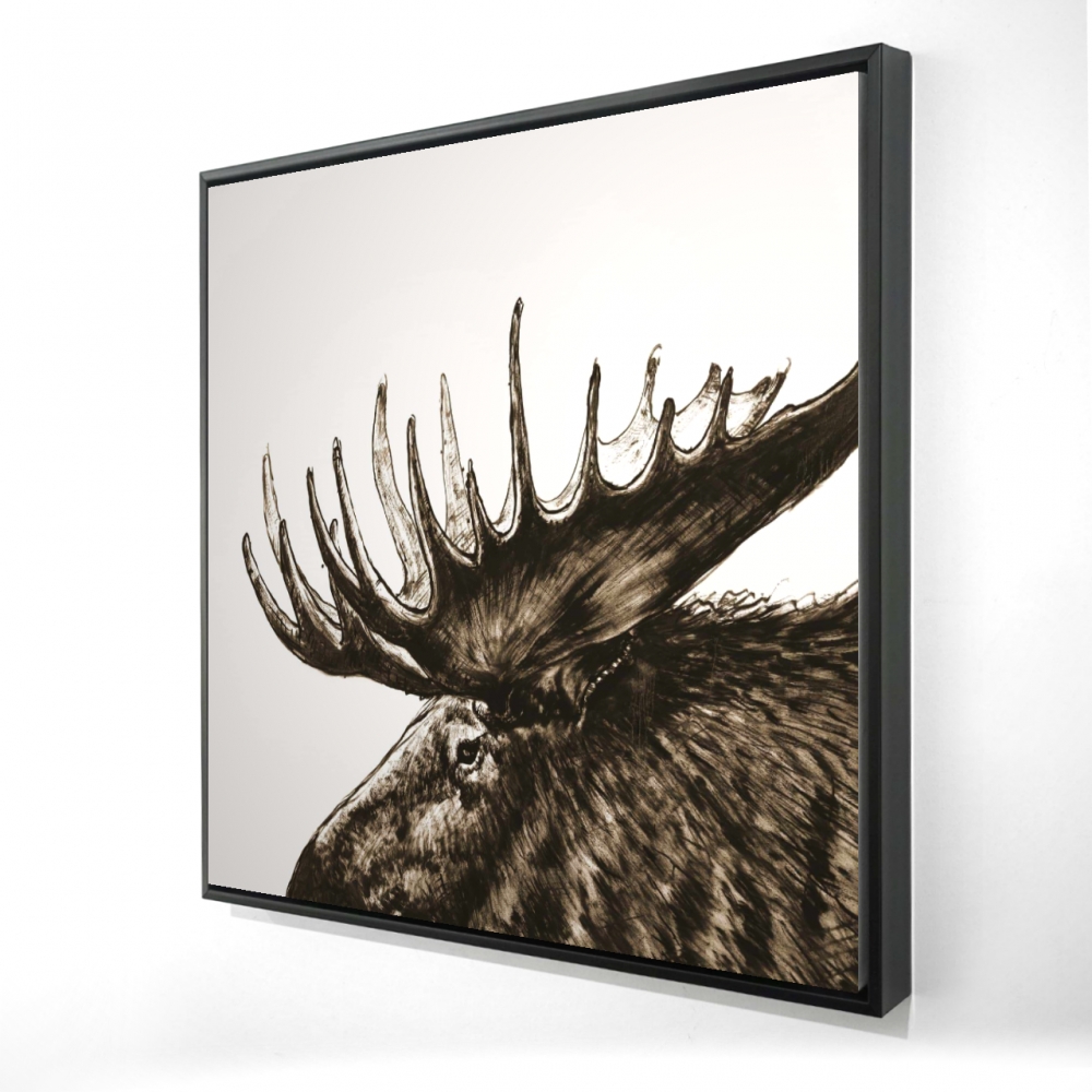 2081-3636-AN473-2 36 x 36 in. Moose Plume Sepia - Rustic Wildlife Framed Canvas Decor