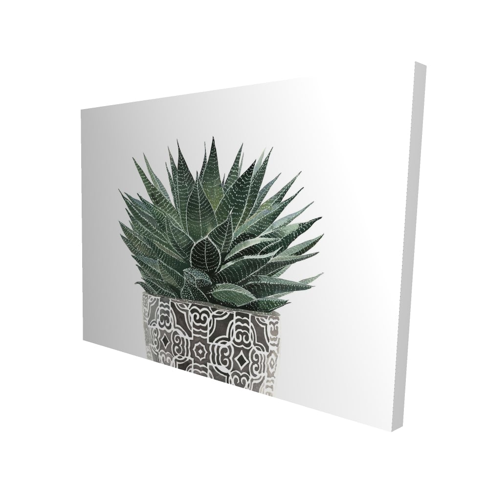 2080-3648-FL339 36 x 48 in. Zebra Plant Succulent - Livingroom Cactus Canvas for Decor