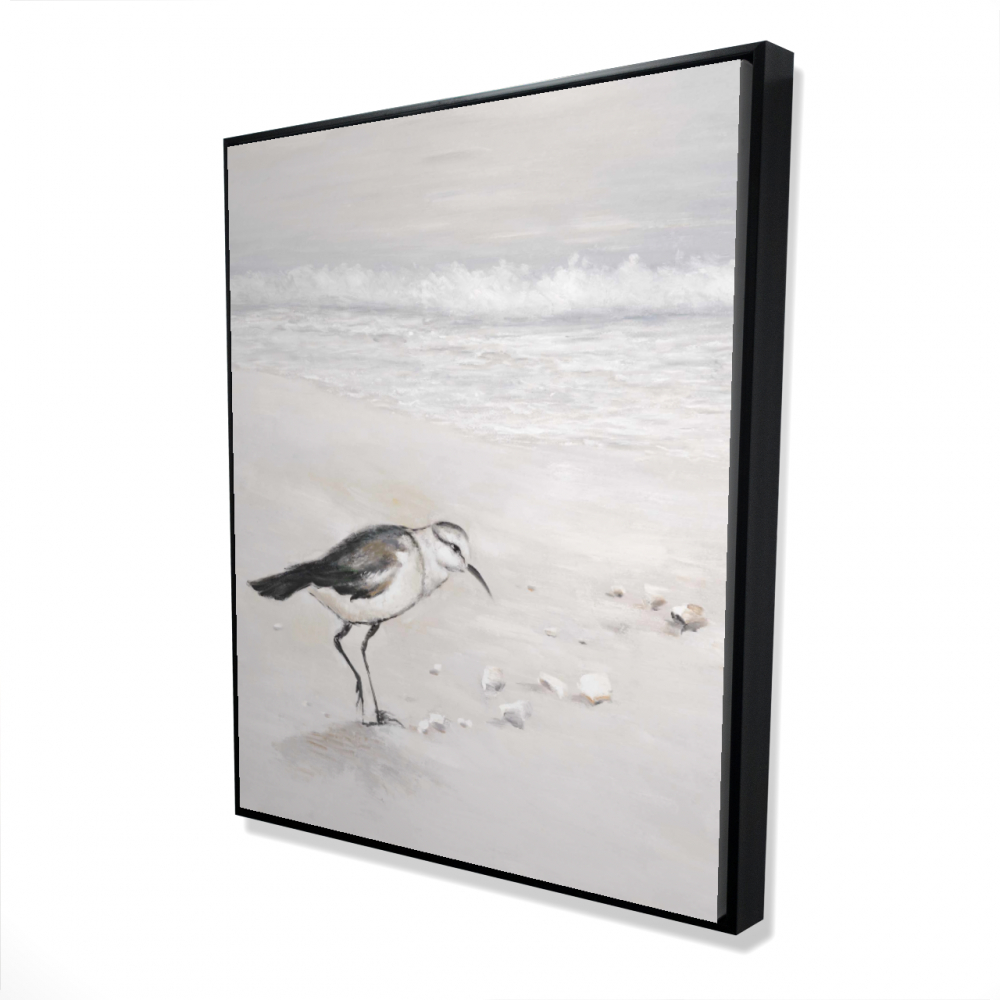 2081-6048-AN98-1 48 x 60 in. Semipalmated Sandpiper Canvas - White Framed Home Decor
