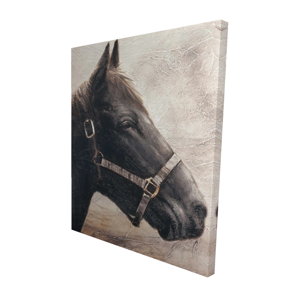 2080-6048-AN64 48 x 60 in. Gallopin the Brown Horse Canvas - Home Decor for Animal Lovers