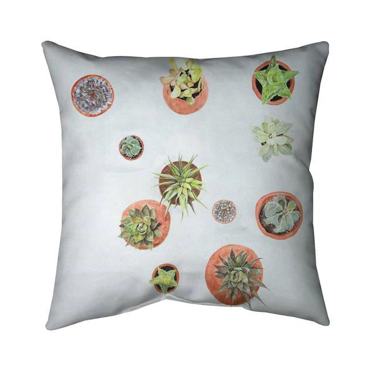 20 x 20 in. Cactus Plants-Double Sided Print Indoor Pillow