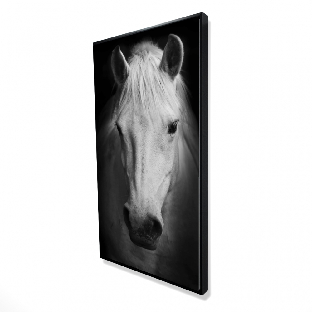 2081-4824-PH8 24 x 48 in. Monochrome Horse - Rustic Black Framed Canvas Home Decor