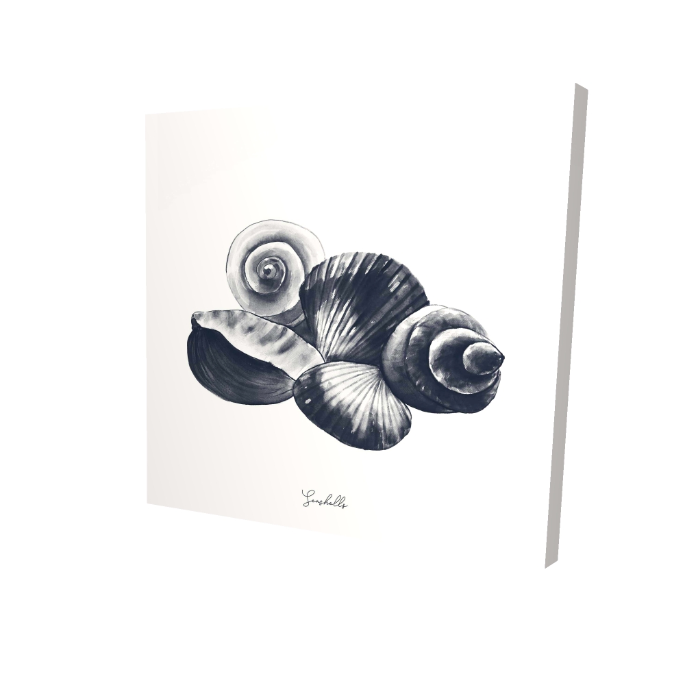 2080-3636-CO129-1 36 x 36 in. Blue Seaside Shells - Coastal Canvas for Home Decor - Aquatic Art