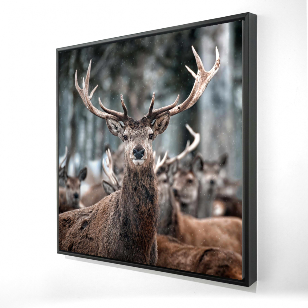 2081-3636-PH3 36 x 36 in. Stags Rustic Framed Canvas - Unique Animal Home Decor