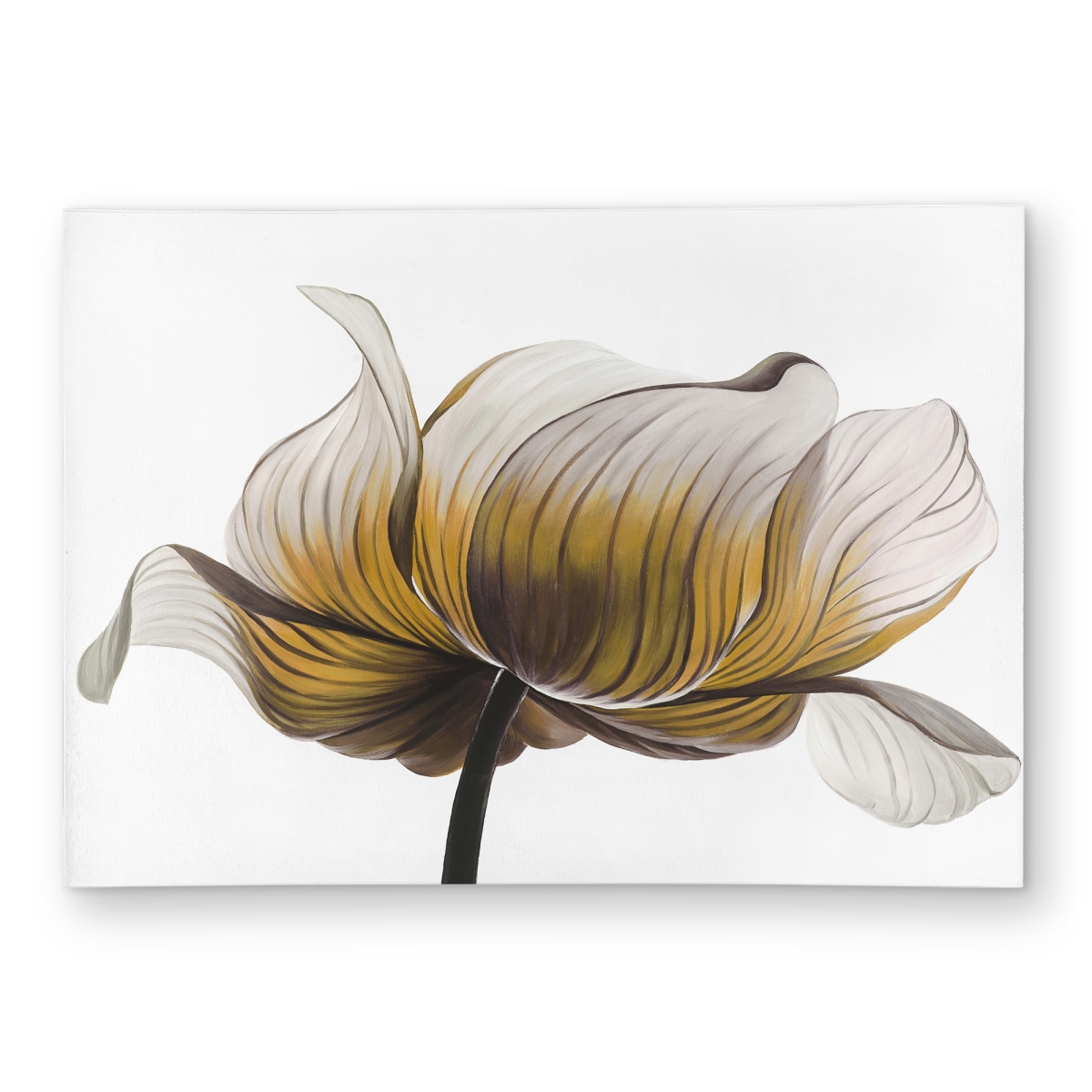C1ROAR576470Z8 5 x 7 ft. Yellow Anemone Flower Outdoor Area Rug - Floral Home Decor - Rectangle