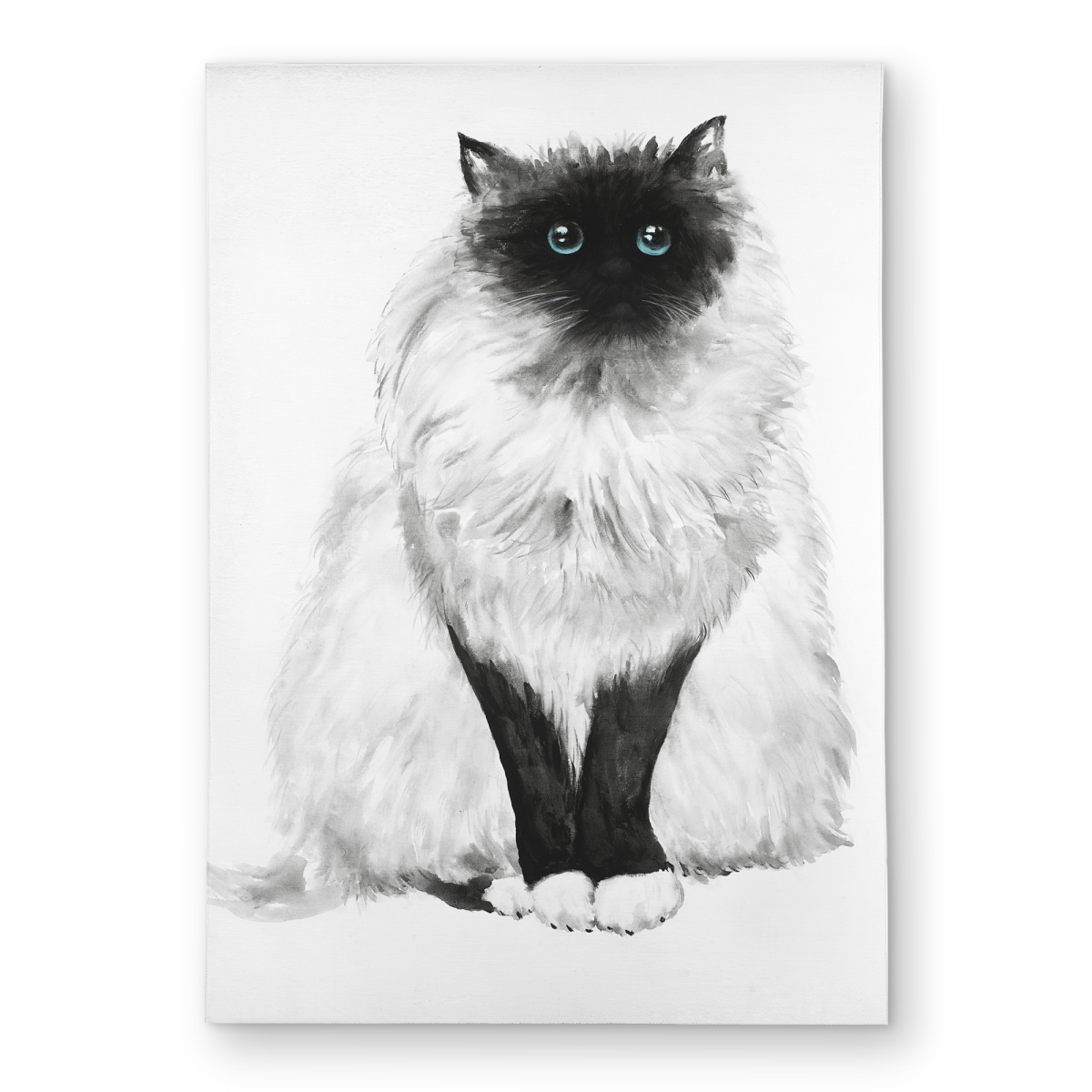 C1ROAR574N6Y6T 5 x 7 ft. Blue Eyes Fluffy Siamese Cat Rug - Minimalist Outdoor Decor - Rectangle