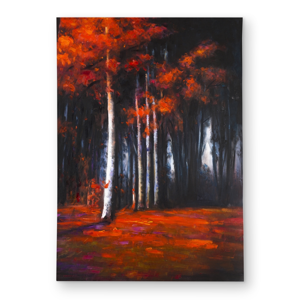 C1ROAR57JB7CL0 5 x 7 ft. Mysterious Forest - Office Black Outdoor Area Rug for Decor - Rectangle