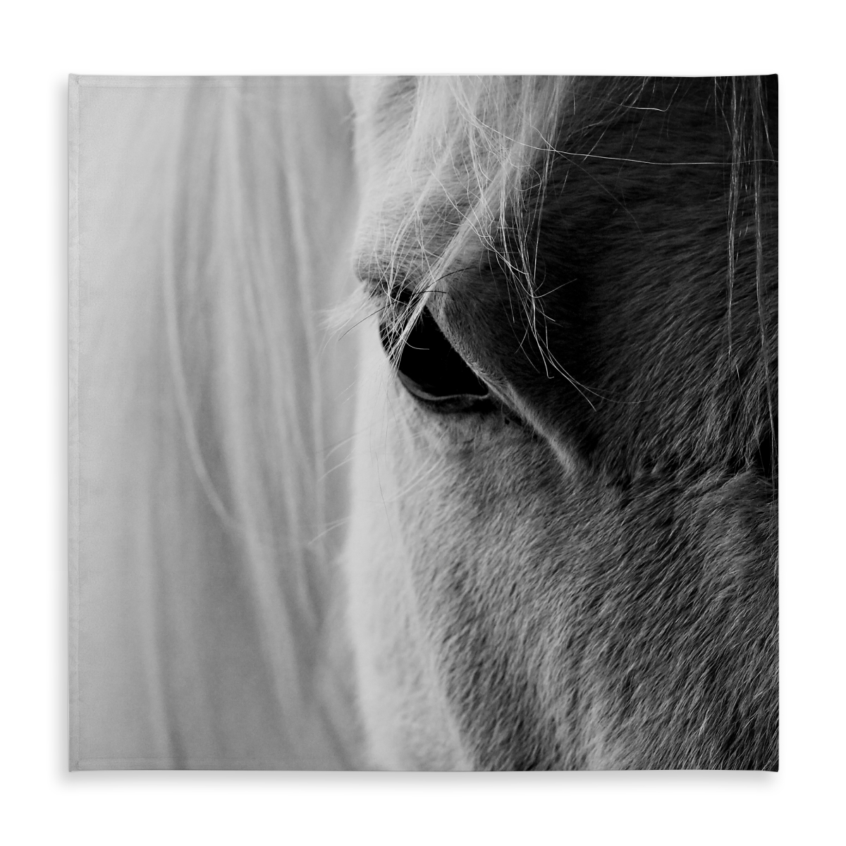 Picture of Begin Home Decor C1TC5858LT1VKY 58 x 58 in. Gray Monochrome Tablecloth - the White Horse Eye - Home Decor