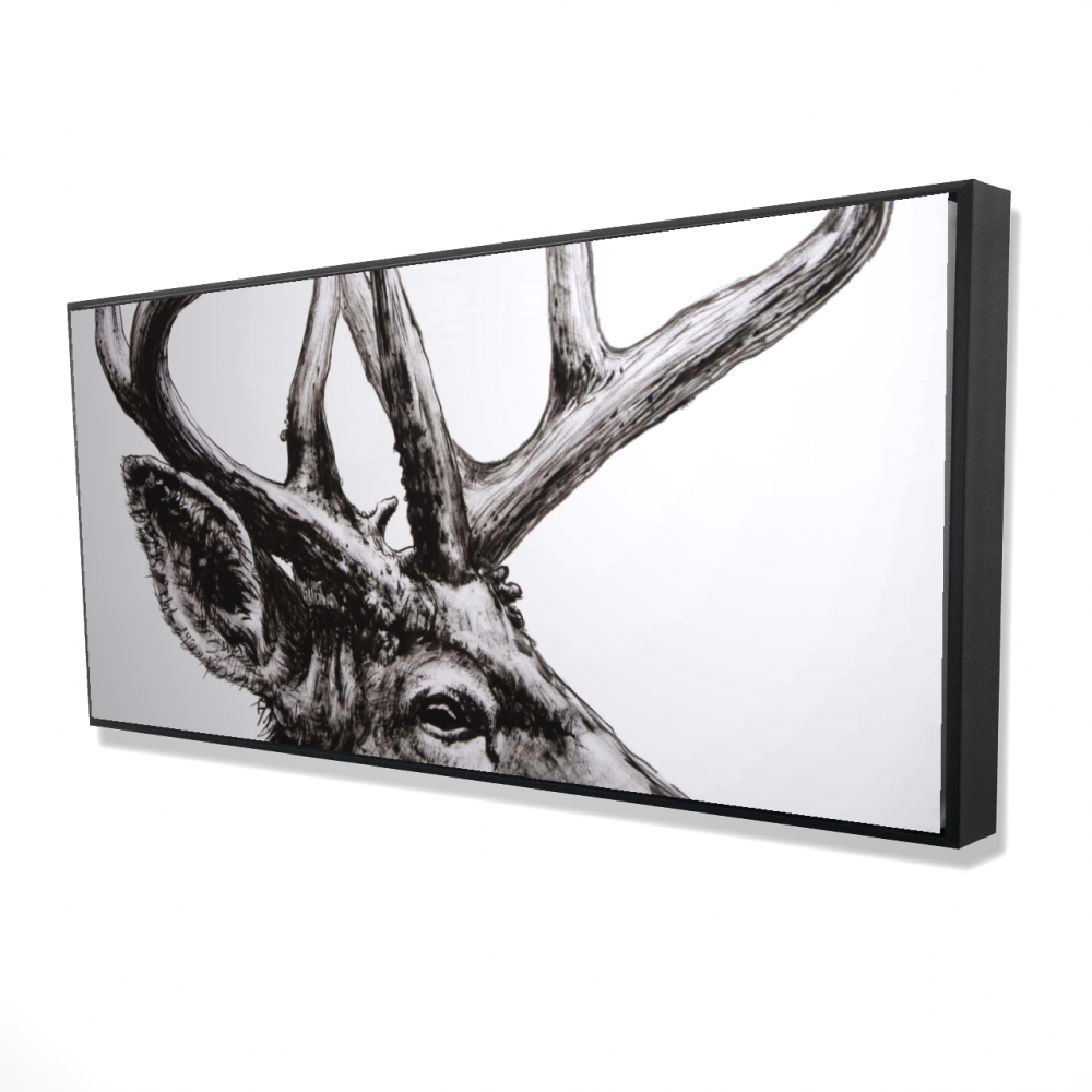 2081-2448-AN474 24 x 48 in. Roe Deer Plume - Rustic Black Framed Canvas Home Decor