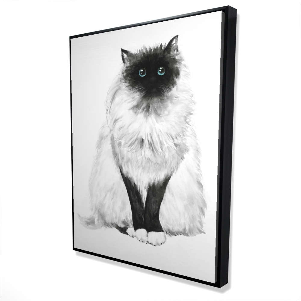 2081-4836-AN190 36 x 48 in. Blue Eyes Fluffy Siamese Cat Canvas - Turquoise Home Decor