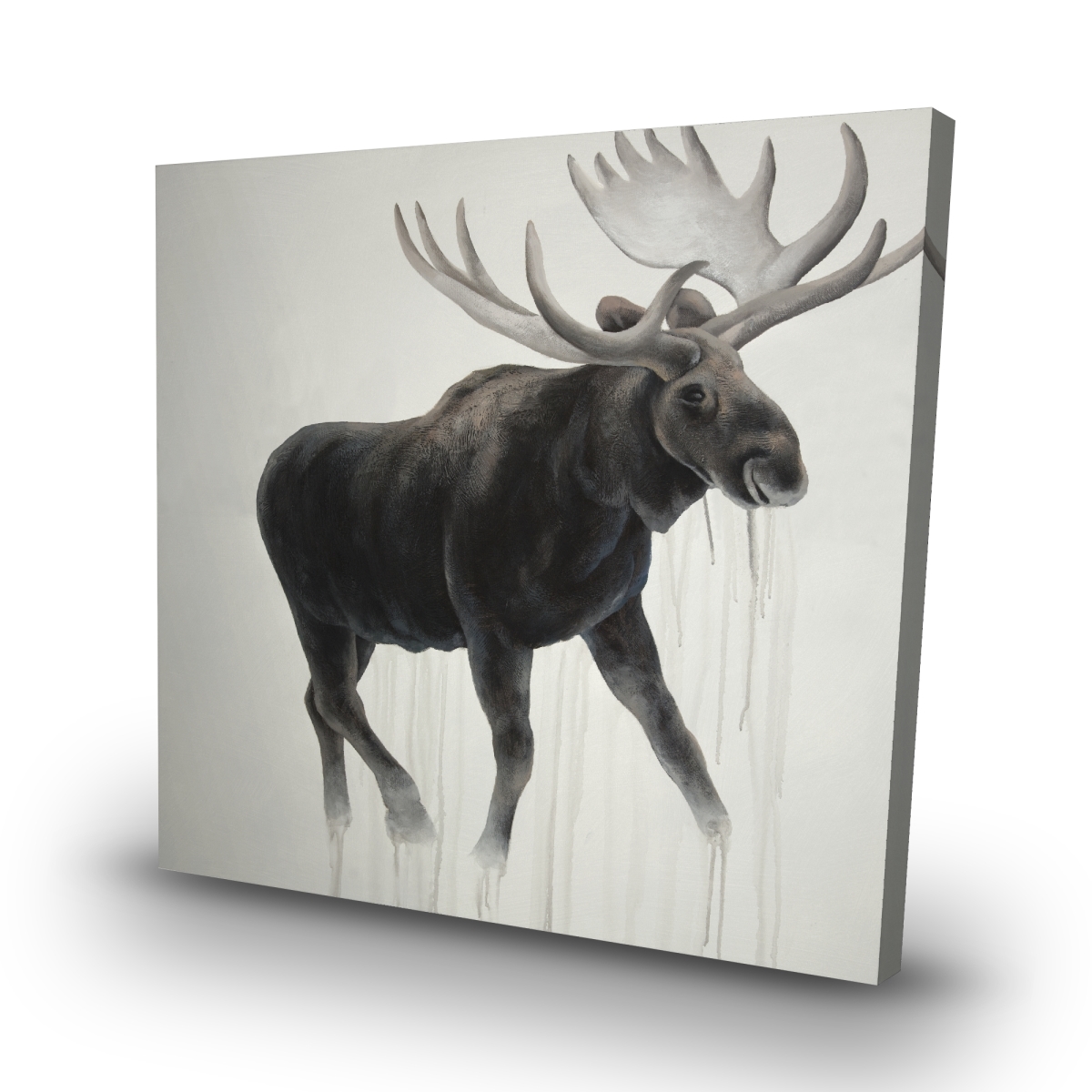 C1RC3232WMA9FV 32 x 32 in. Walking Moose - Wildlife Office Canvas for Home Decor