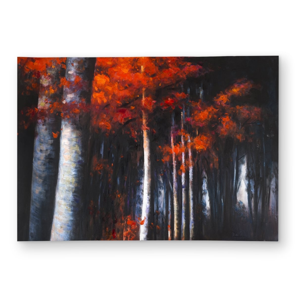 C1ROAR57TWWNKF 5 x 7 ft. Mysterious Forest - Gray Trees Outdoor Area Rug for Home Decor - Rectangle