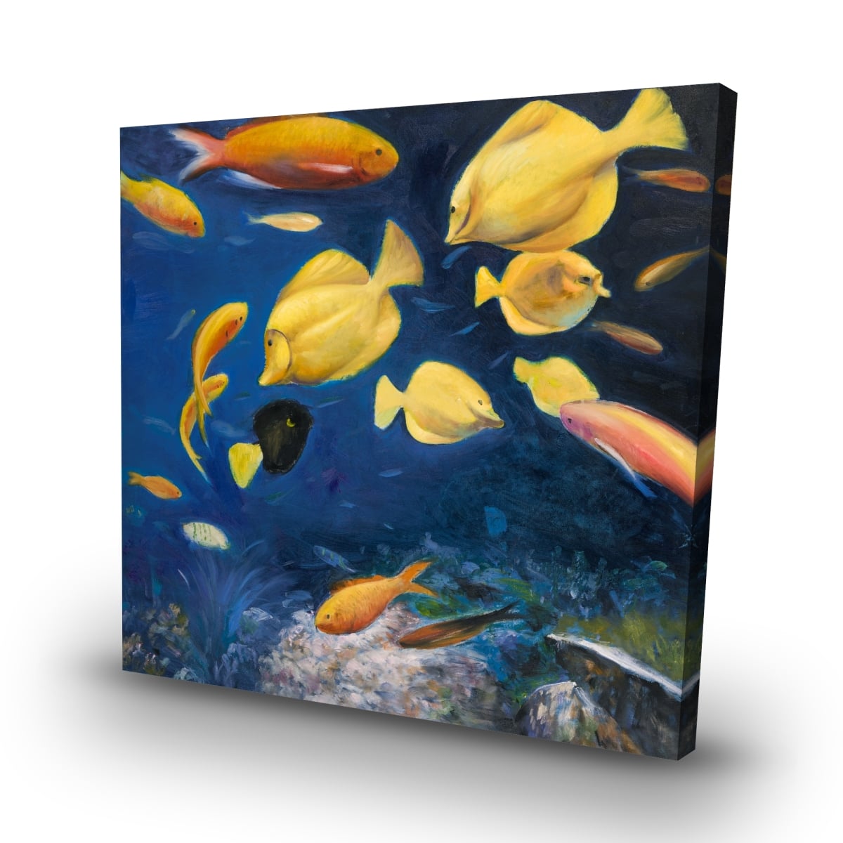 C1RC3232L3EL48 32 x 32 in. Fish Under the Sea - Aquatic Animals Canvas for Home Decor