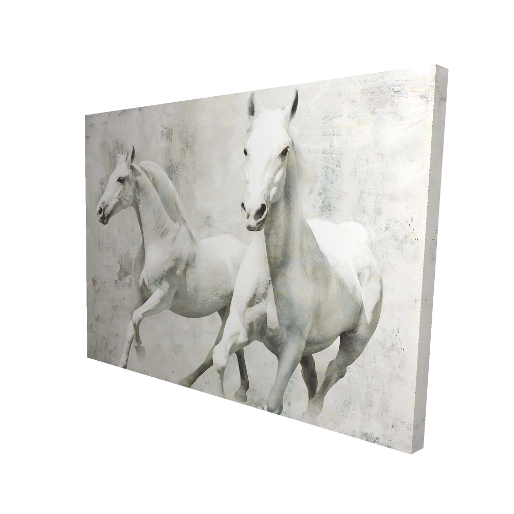 2080-3648-AN8 36 x 48 in. Two White Horses Running Canvas - Animal Home Decor Art