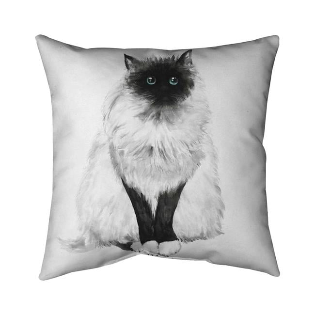 20 x 20 in. Blue Eyes Fluffy Siamese Cat-Double Sided Print Indoor Pillow
