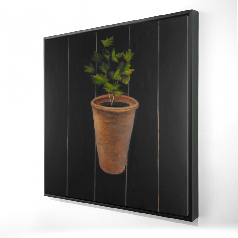 2081-3636-GA53 36 x 36 in. Plant of Parsley - Framed Canvas Still Life Home Decor
