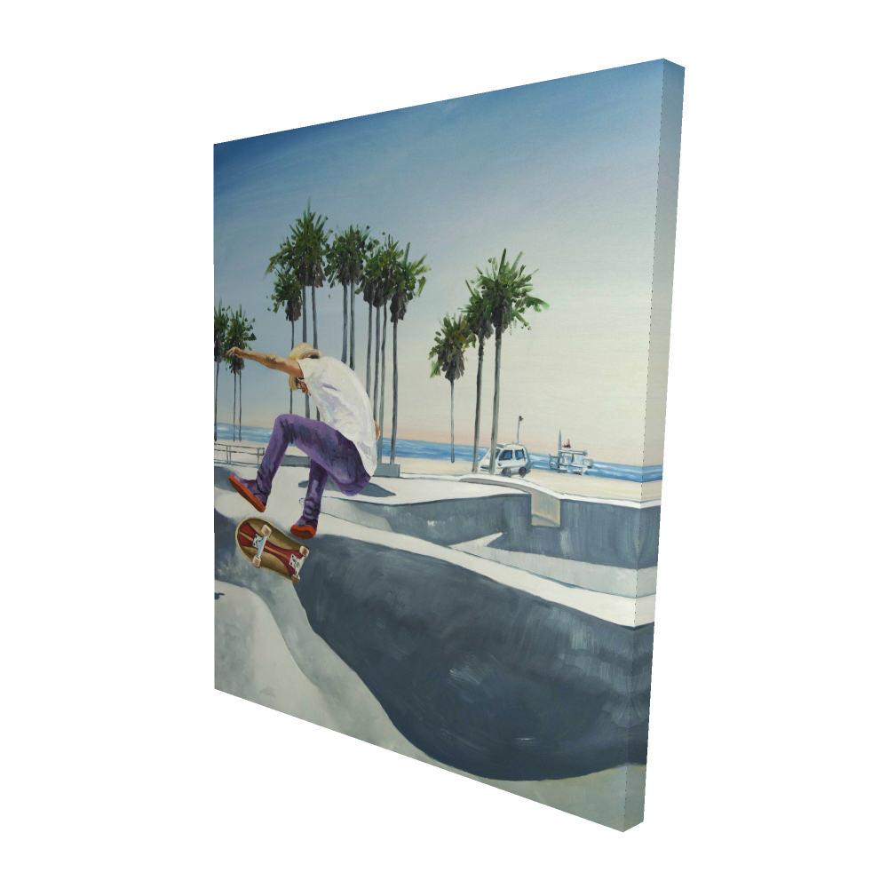 2080-6048-SP68 48 x 60 in. Skate Park California - Hyperrealist Botanical Canvas Art