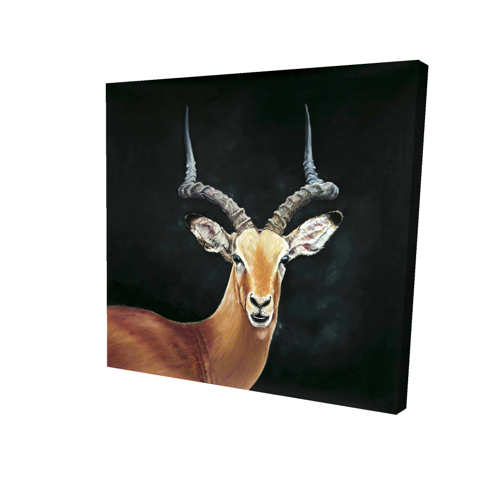 2080-0808-AN517 8 x 8 in. Antelope Deer Rustic Canvas - Home Decor Wall Art