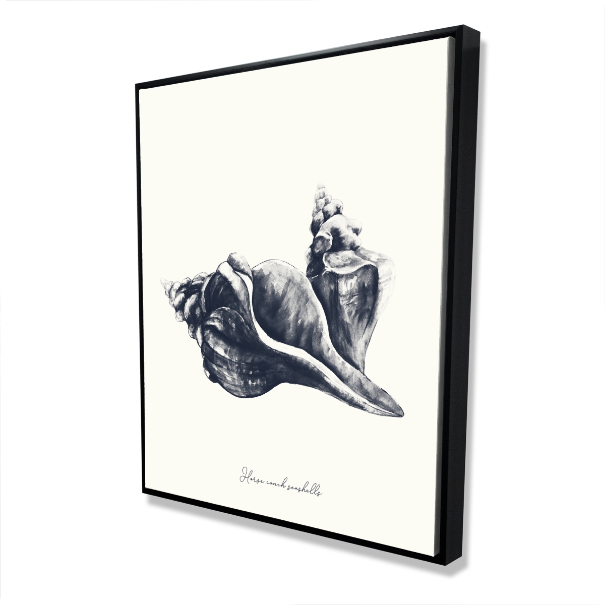 C1FC486098LQ7Q 48 x 60 in. Blue Horse Conch Seashells - White Framed Canvas Decor
