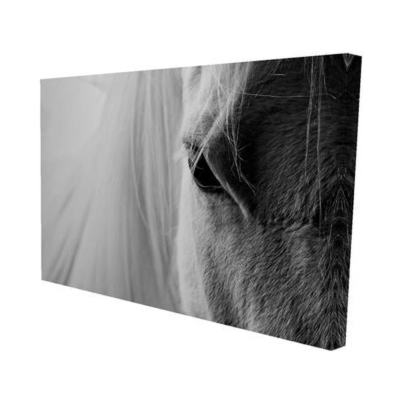 20 x 30 in. The White Horse Eye-Print on Canvas