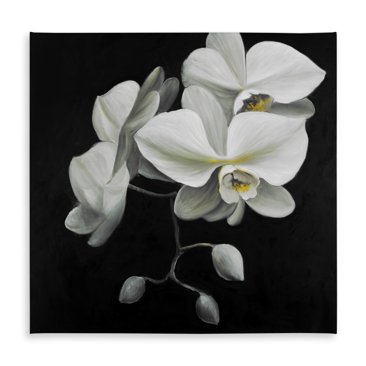 Picture of Begin Home Decor C1TC5858KDXK9V 58 x 58 in. White Orchids Tablecloth - Hyperrealist Flowers for Home Decor