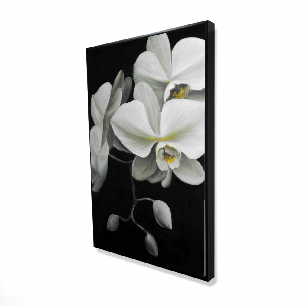 2081-3624-FL131 24 x 36 in. White Orchids - Romantic Framed Canvas for Home Decor