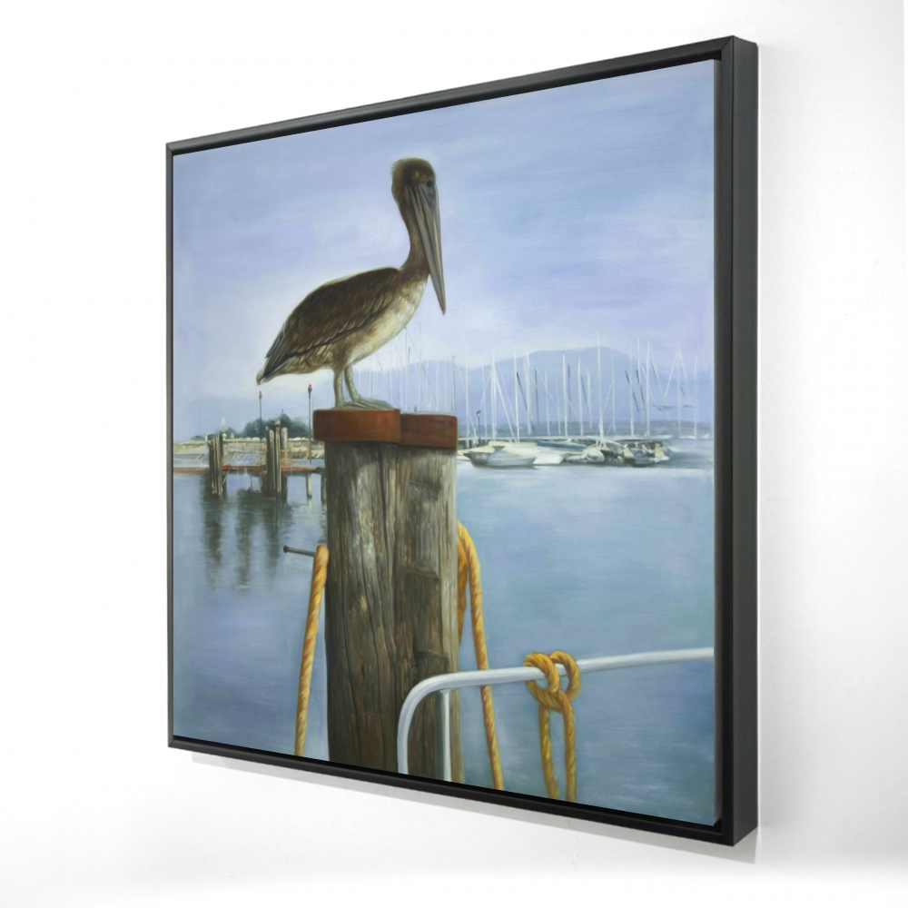2081-3636-CO161 36 x 36 in. Pelican - Hyperrealist Animals Framed Canvas - Home Decor