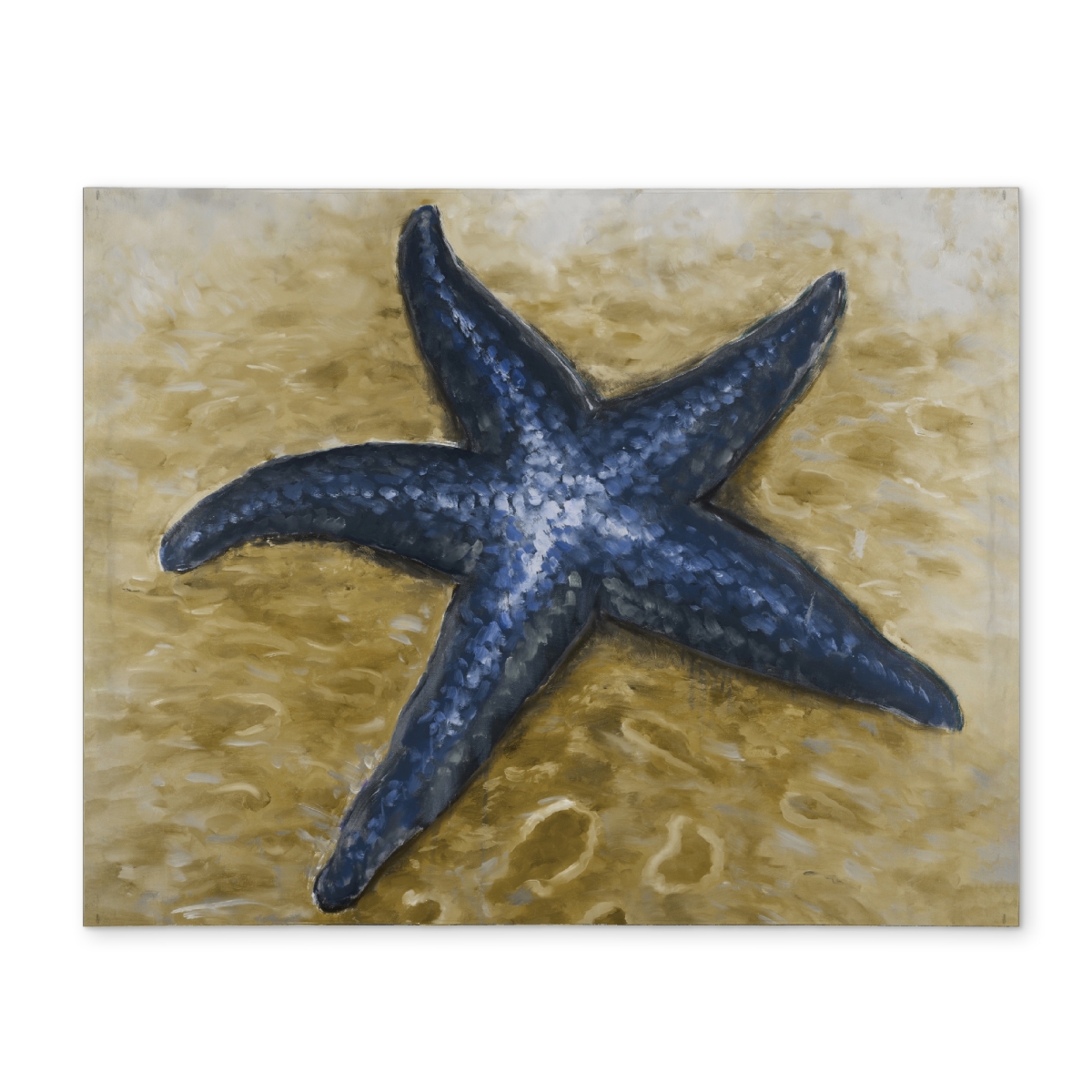 Picture of Begin Home Decor CPPM1418NXBKGV 14 x 18 in. Beautiful Starfish Coastal Beige Bathroom Placemat - Home Decor