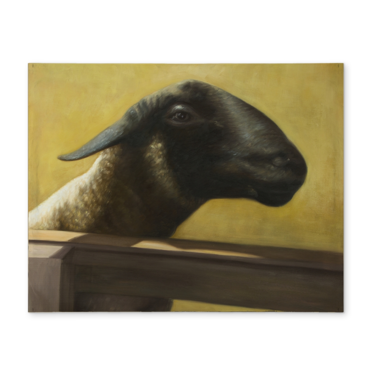 Picture of Begin Home Decor CPPM1418BOO91O 14 x 18 in. Young Ram Brown Western Placemat - Polyester Home Decor