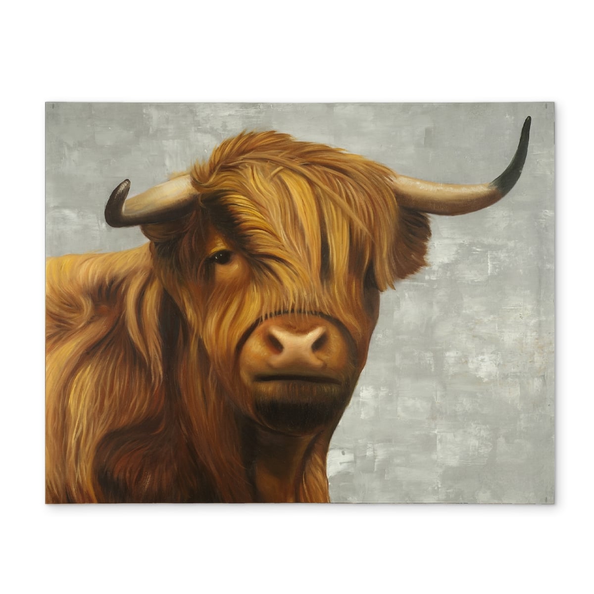 CPPM14184OI9TS 14 x 18 in. Highland Cattle Rustic Bedroom Placemat - Polyester Decor