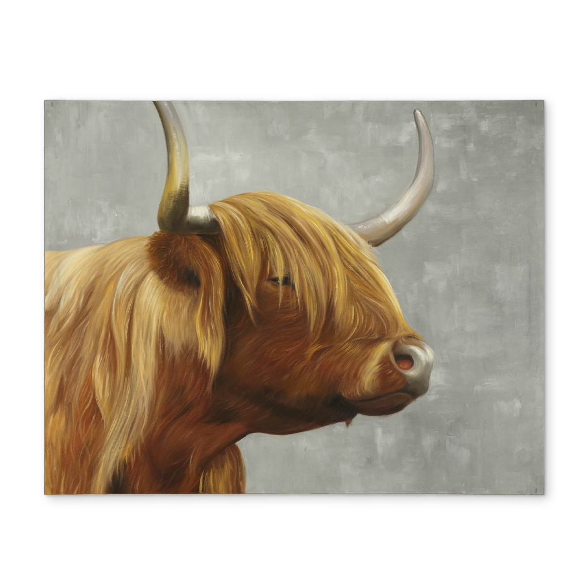 Picture of Begin Home Decor CPPM1418DMDVMG 14 x 18 in. Beautiful Highland Cattle Brown Farm Animals Polyester Placemat
