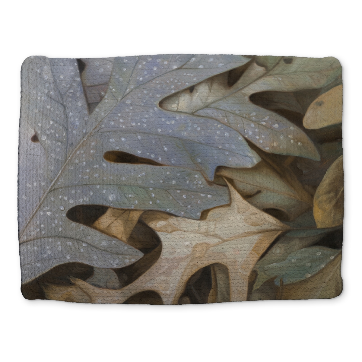 Picture of Begin Home Decor CBPM14189ZM6CI 14 x 18 in. Autumn Leaves Brown Trees Rustic Braided Polyester Placemat