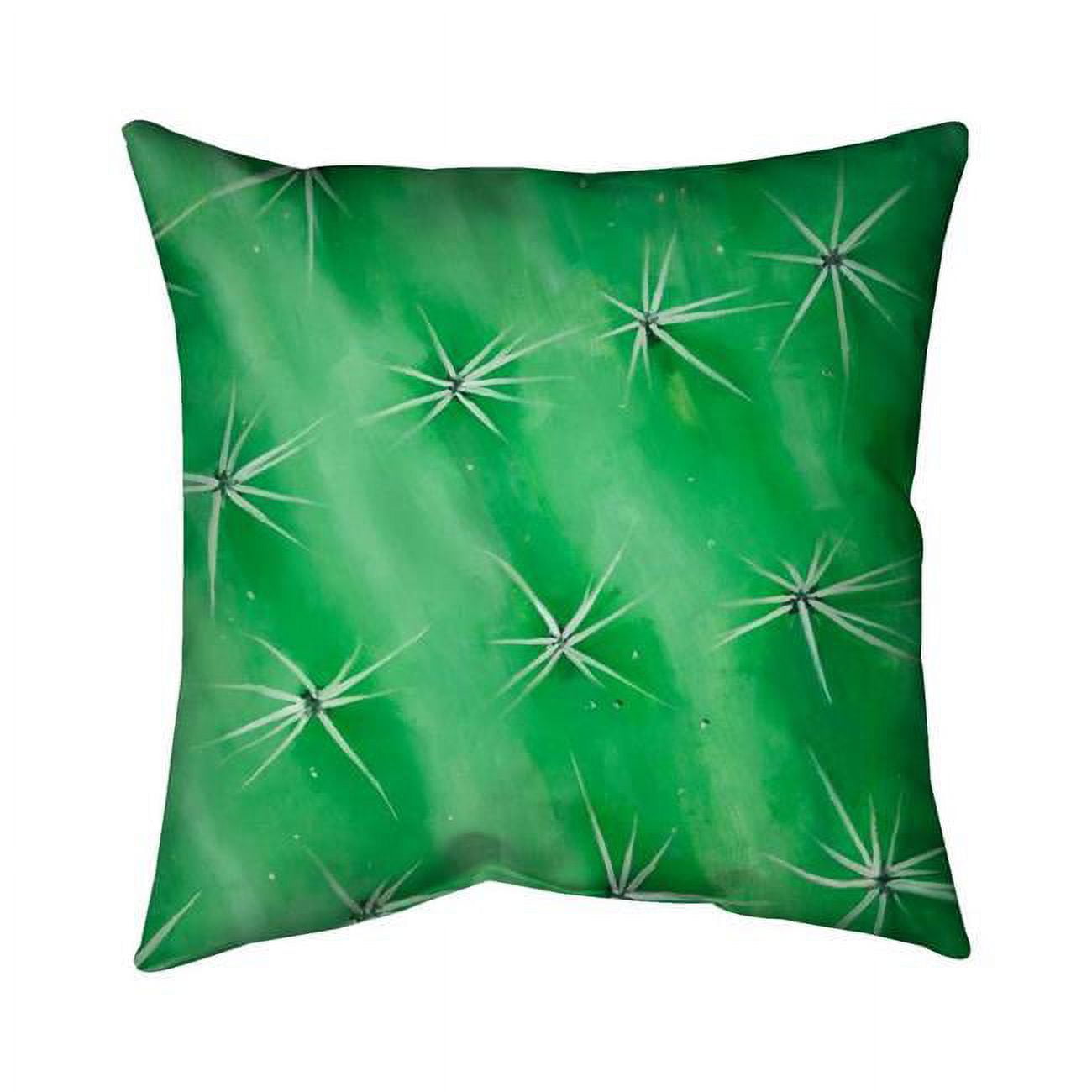 26 x 26 in. Cactus Closeup-Double Sided Print Indoor Pillow
