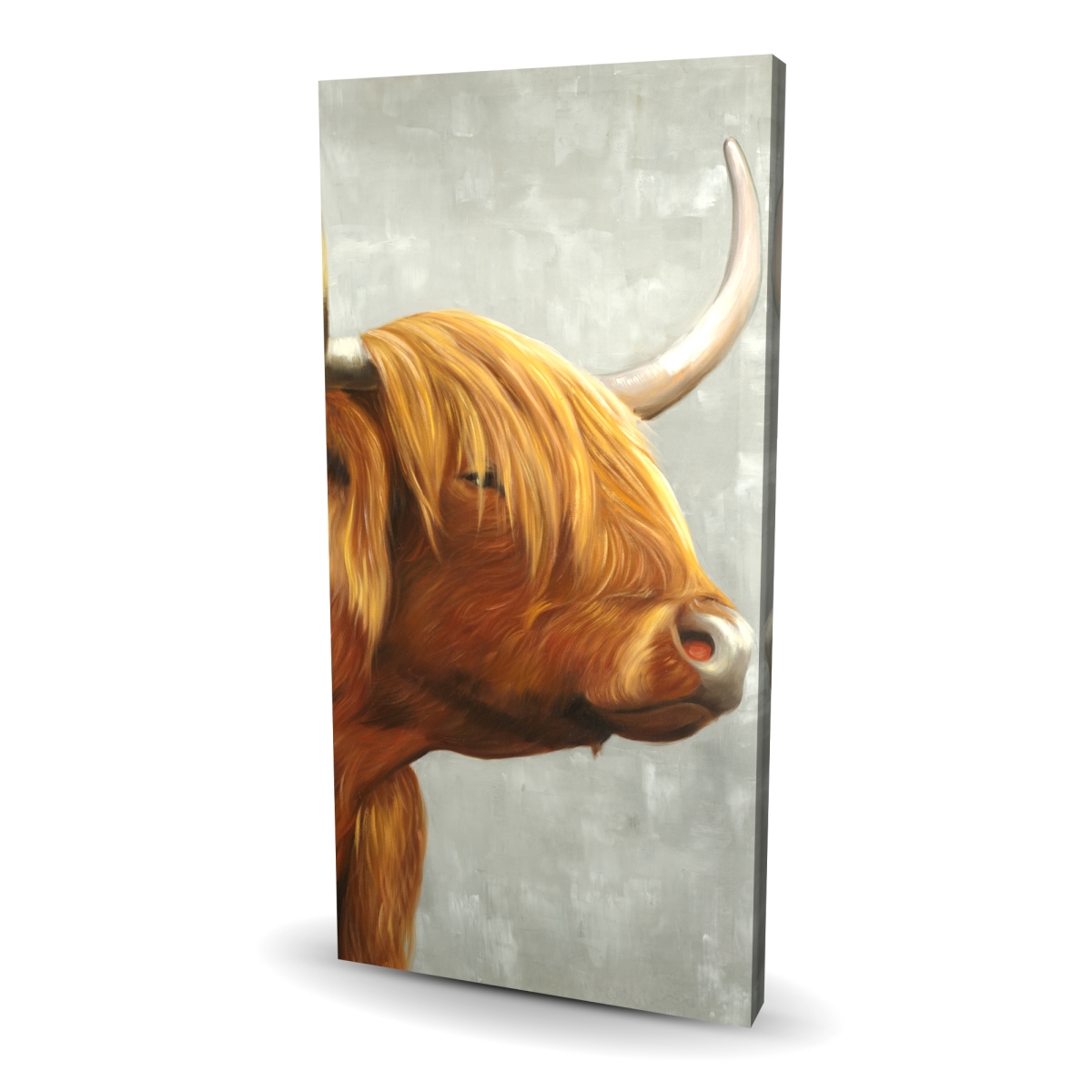 C1RC244872LBRD 24 x 48 in. Beautiful Highland Cattle - Rustic Gray Canvas Home Decor