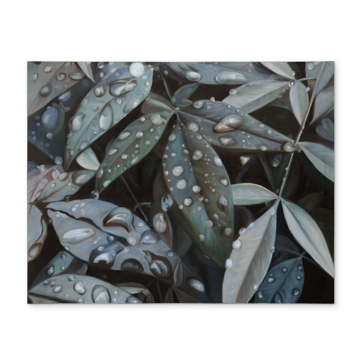 Picture of Begin Home Decor CPPM1418I00DHC 14 x 18 in. Leaves After Rain Floral Placemat - Botanical Bathroom Decor