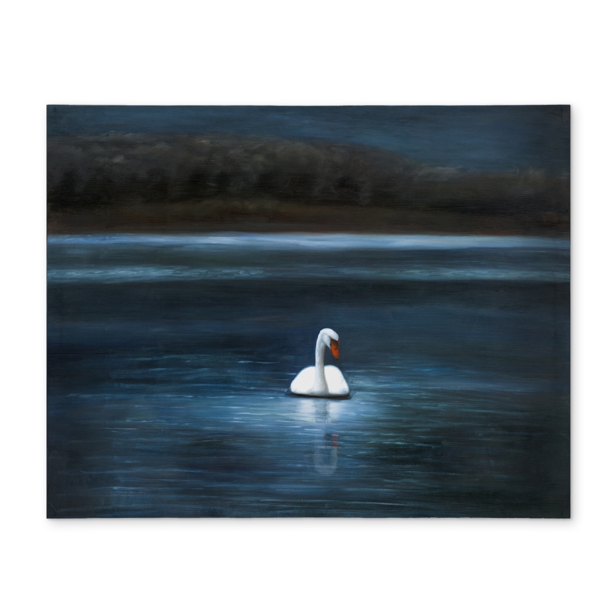Picture of Begin Home Decor CPPM1418M8S7GR 14 x 18 in. Beautiful Swan Blue Polyester Placemat - Animal Bedroom Decor