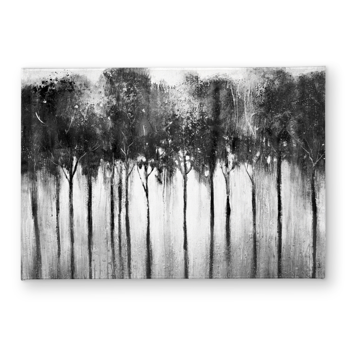 CODM1724DQC2CZ 17 x 24 in. Abstract Forest Black & White Door Mat - Home Decor