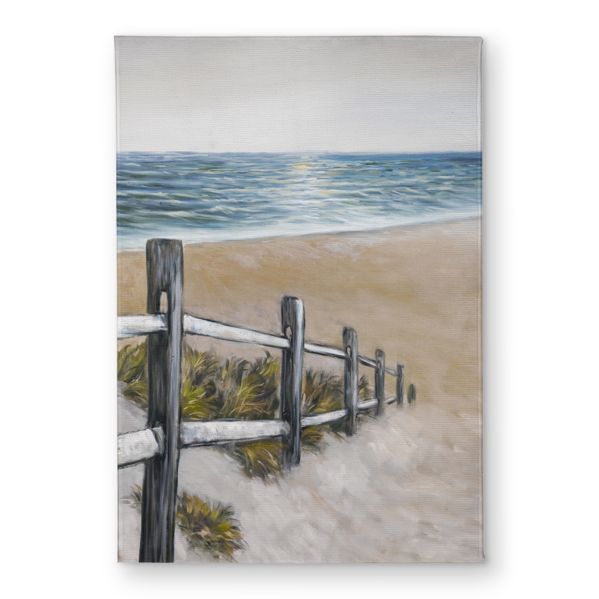 CODM17244LKR93 17 x 24 in. Soft Seaside Beach Coastal Door Mat - Indoor Outdoor Decor