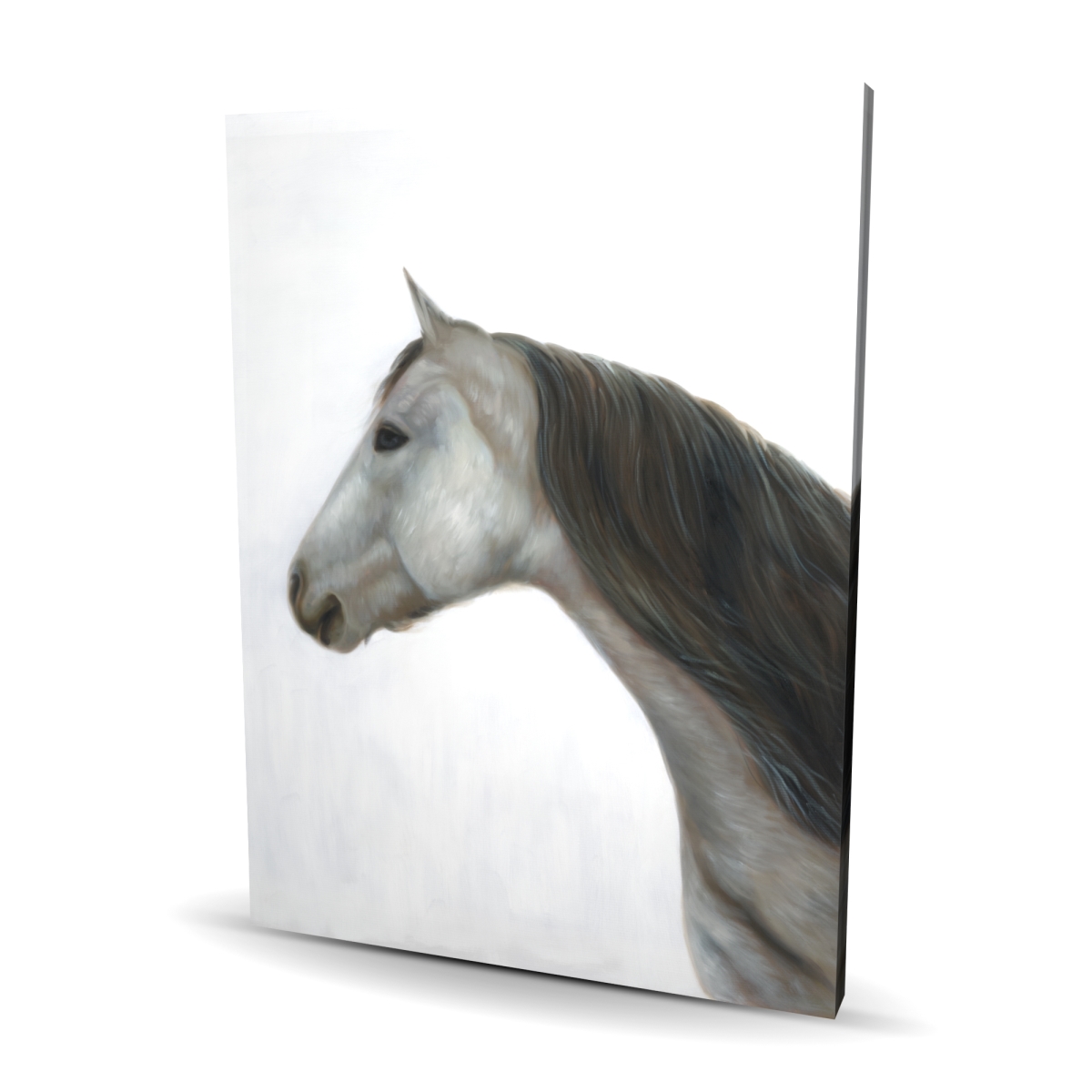 C1RC3648K1PM1O 36 x 48 in. Winter Horse - Animals Farmhouse Canvas for Home Decor