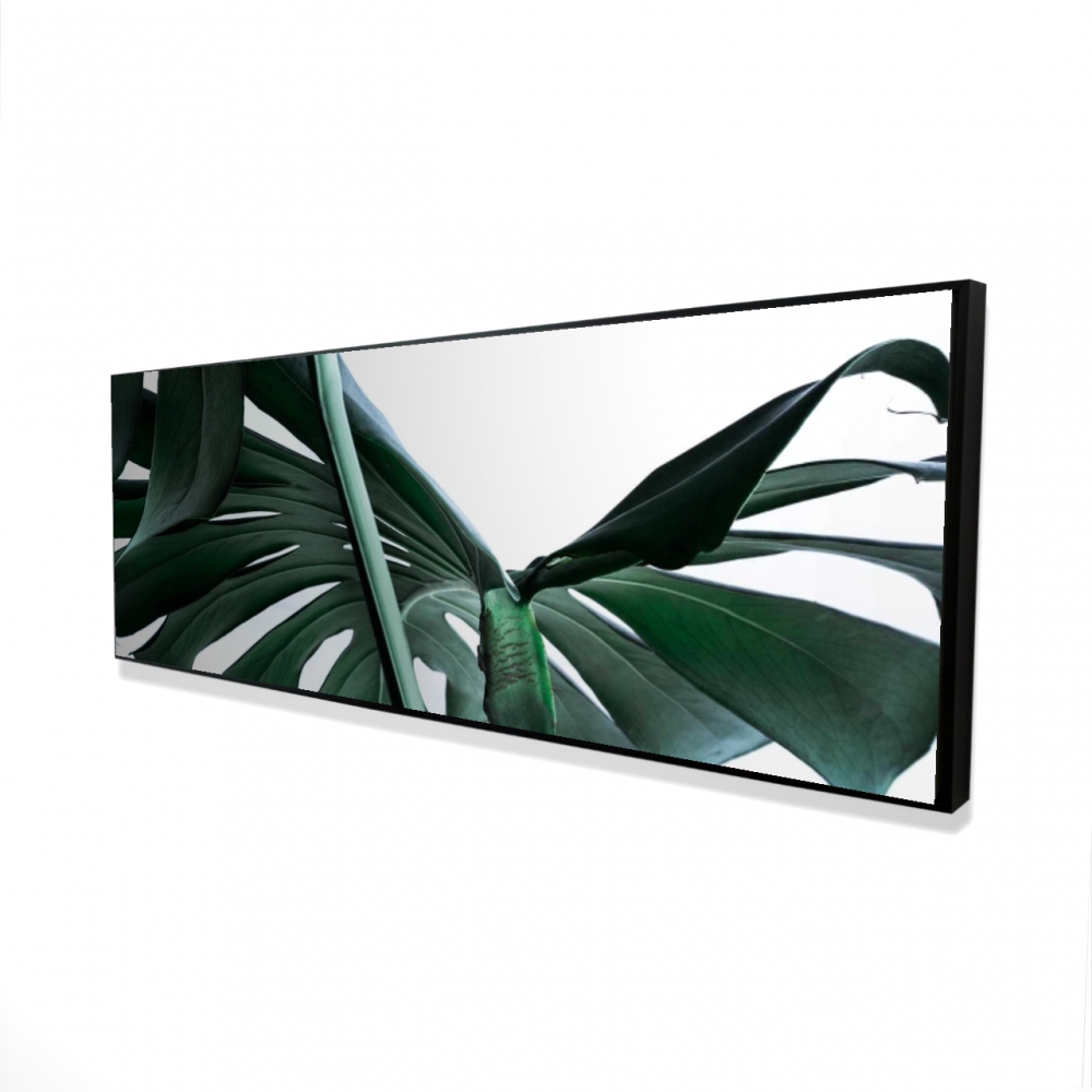 2081-1648-PH19 16 x 48 in. Exotic Monstera Deliciosa Botanical Framed Canvas Decor