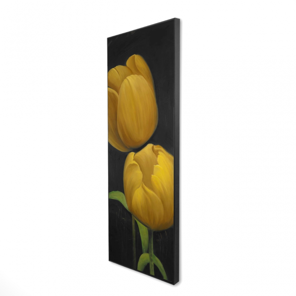 2081-6020-FL125 20 x 60 in. Two Daffodils Flowers - Botanical Yellow Framed Canvas Decor