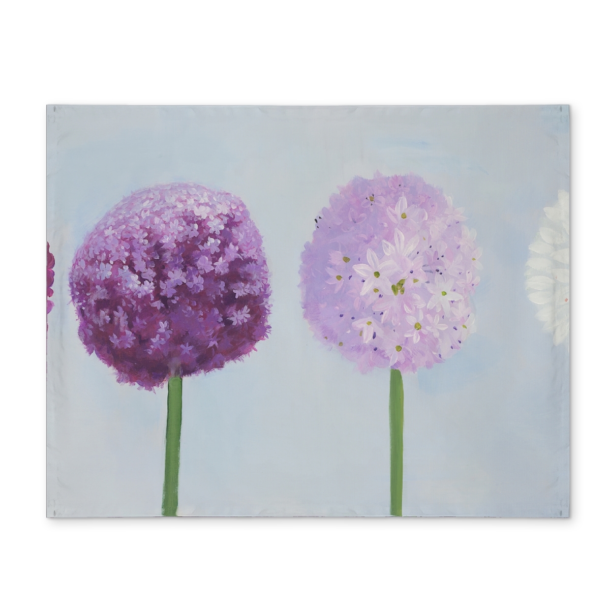 CPPM1418ZBDVR8 14 x 18 in. Purple Dahlia Pompon Botanical Placemat - Home Decor Polyester