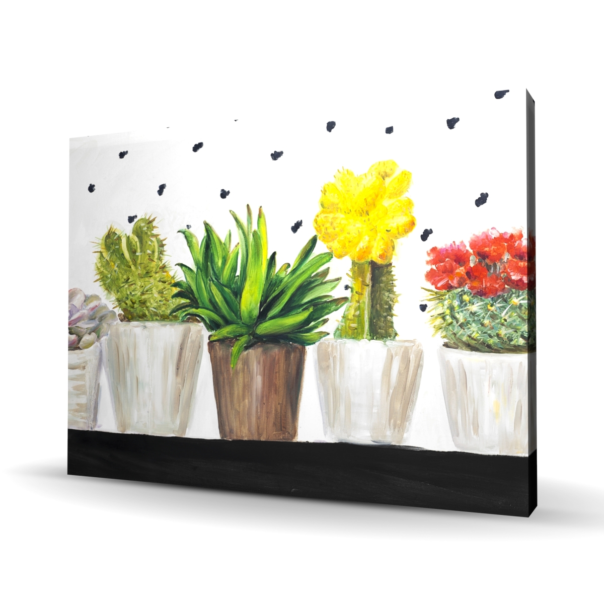 C1RC364850UMRF 36 x 48 in. Small Cactus & Succulents Canvas - Office Decor for Home